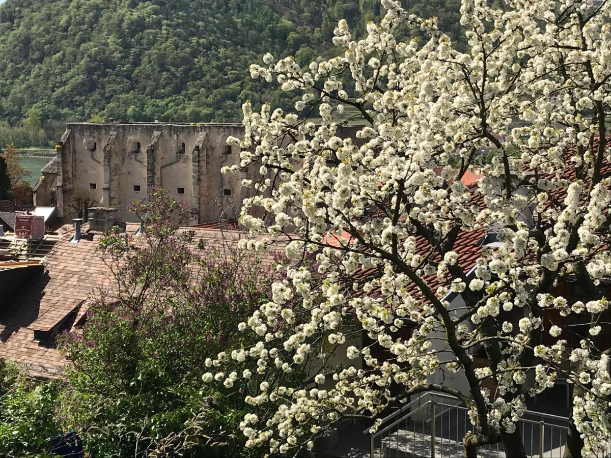 Pension Altes Rathaus Dürnstein Zewnętrze zdjęcie